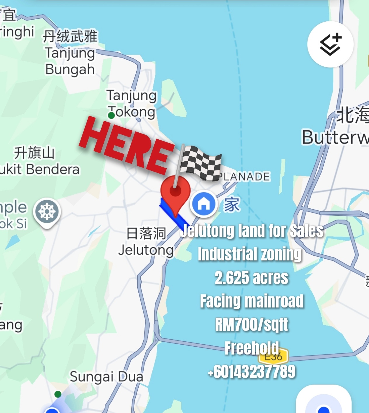 Jelutong land for Sales Industrial zoning 