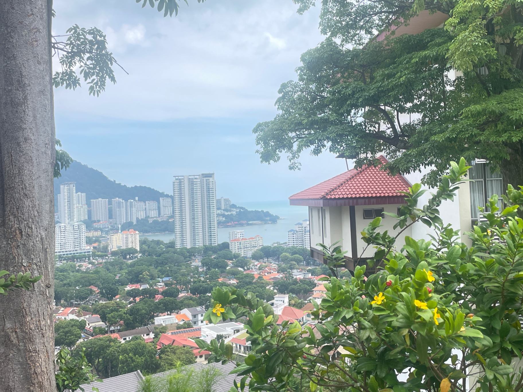 Pearl Hill Seaview Bungalow Land For Sale, Tanjung Bungah