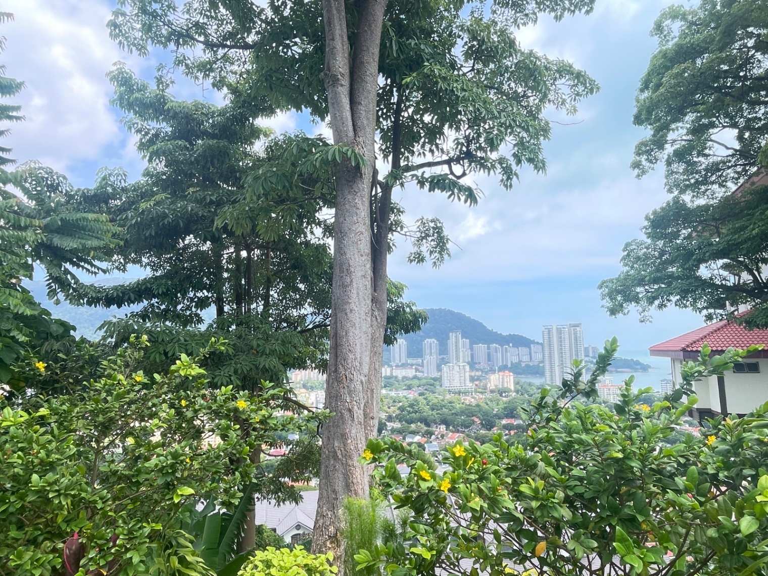 land in Tanjung Bungah, Penang — photo 4