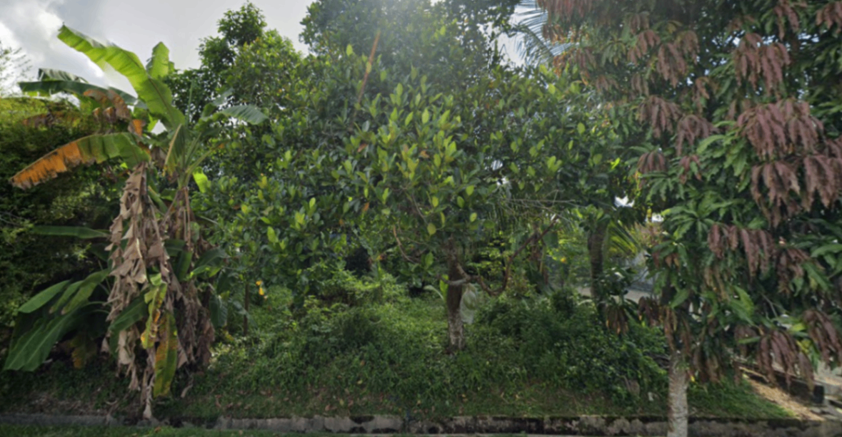 land in Kulim, Kedah — photo 2