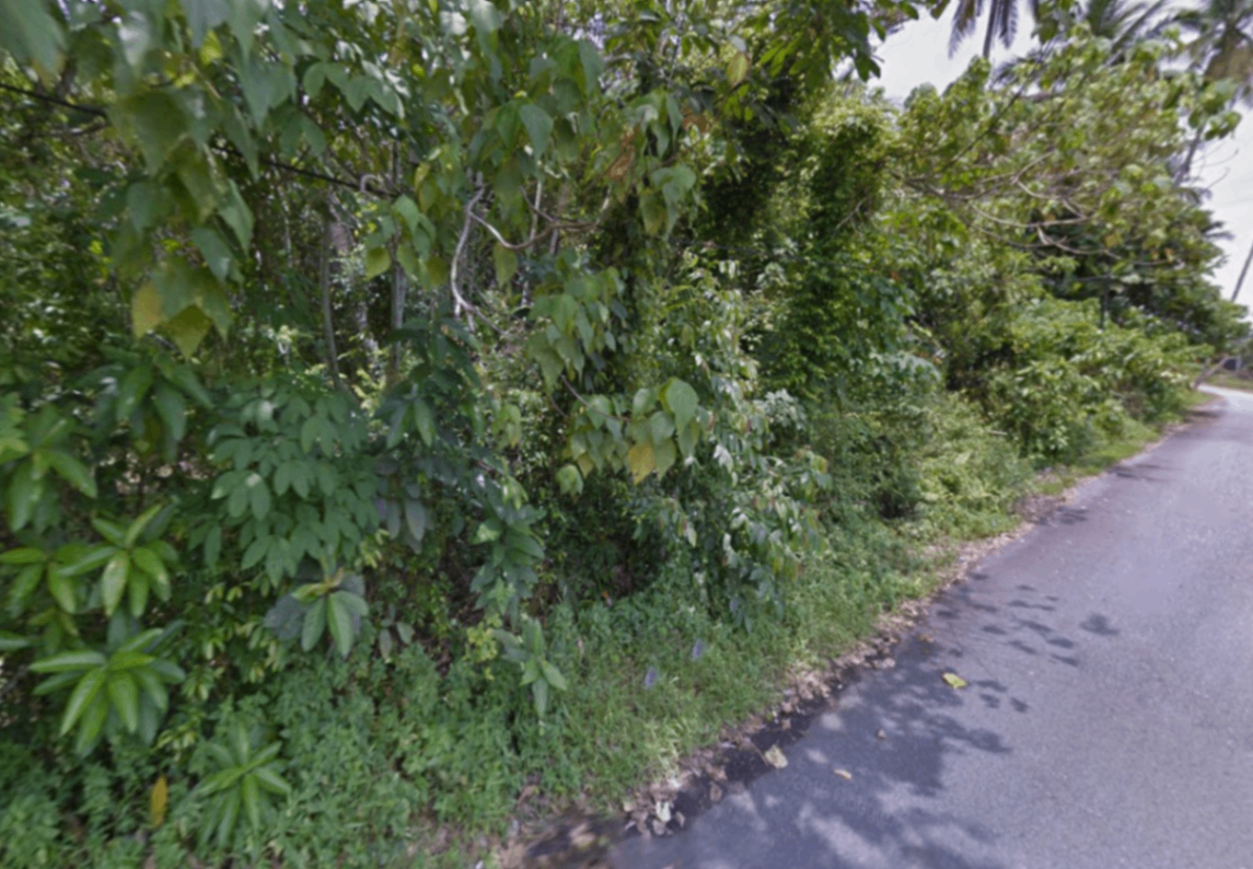 Kampung Terang Bungalow Lot @ Balik Pulau for Sale