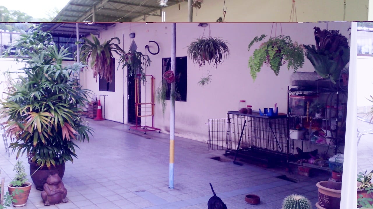 house in Sungai Ara, Penang — photo 4