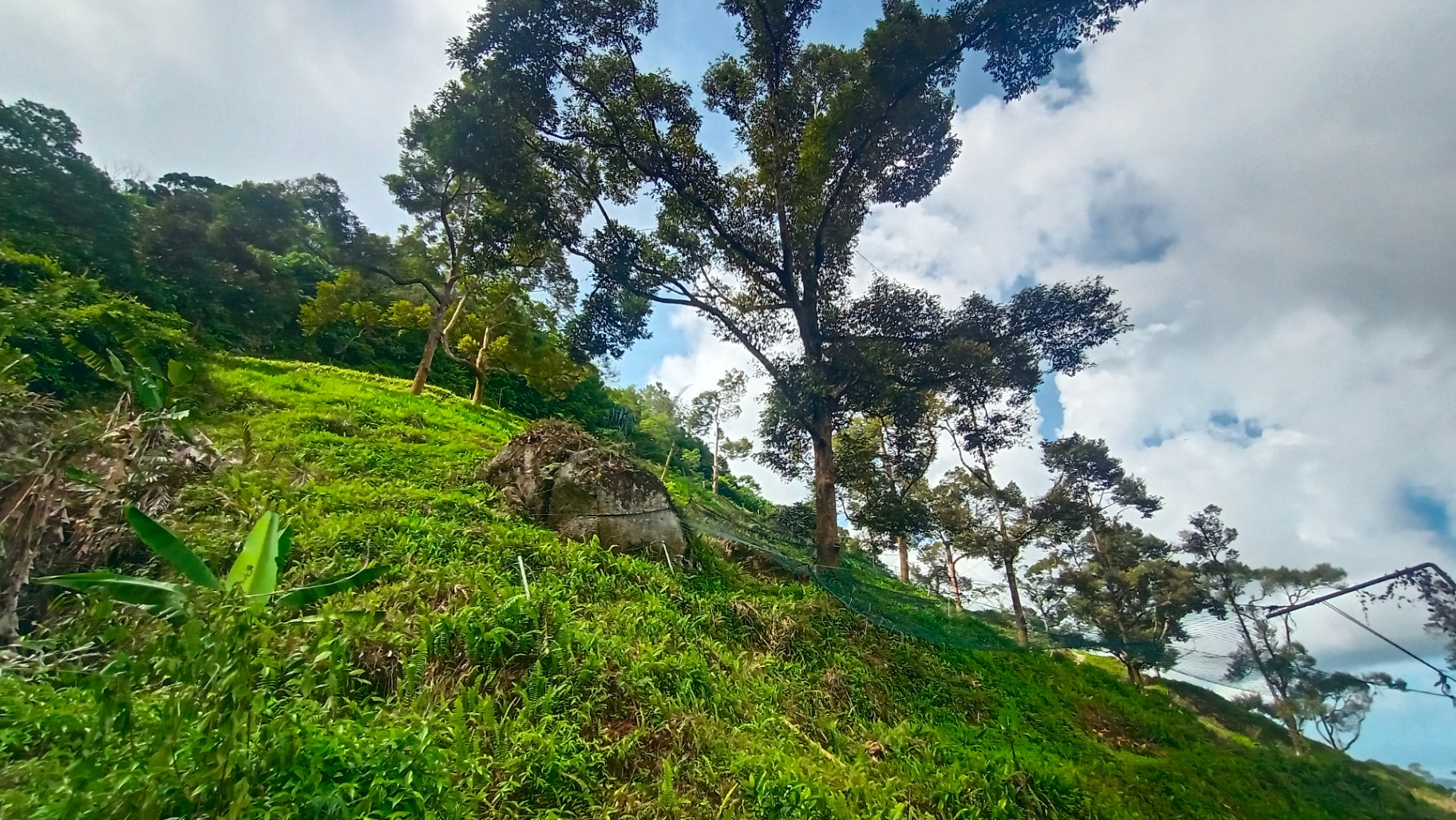 land in Balik Pulau, Penang — photo 2