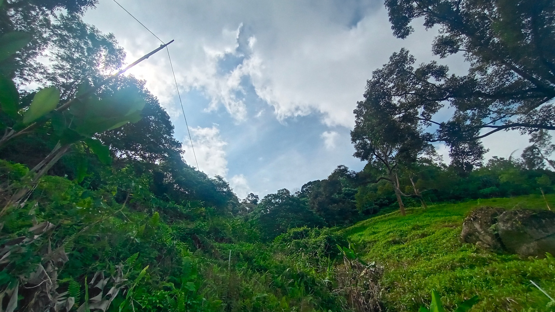 land in Balik Pulau, Penang — photo 3