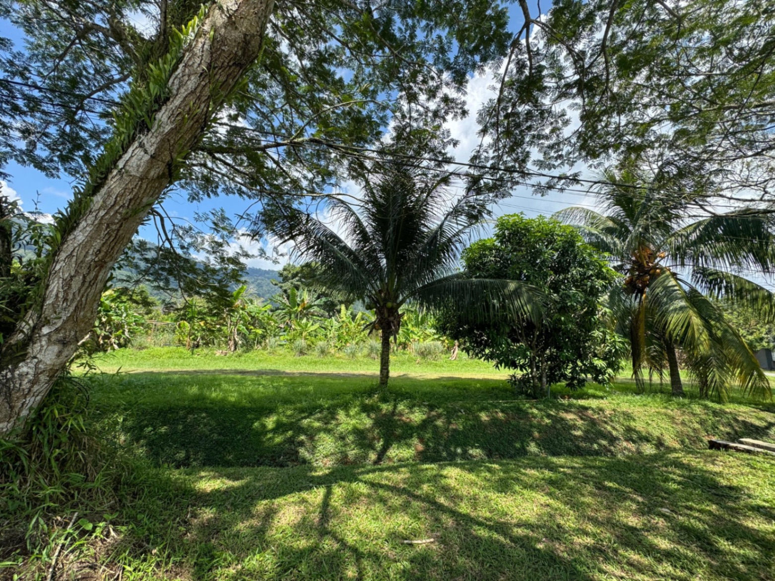 land in Kamunting, Perak — photo 2