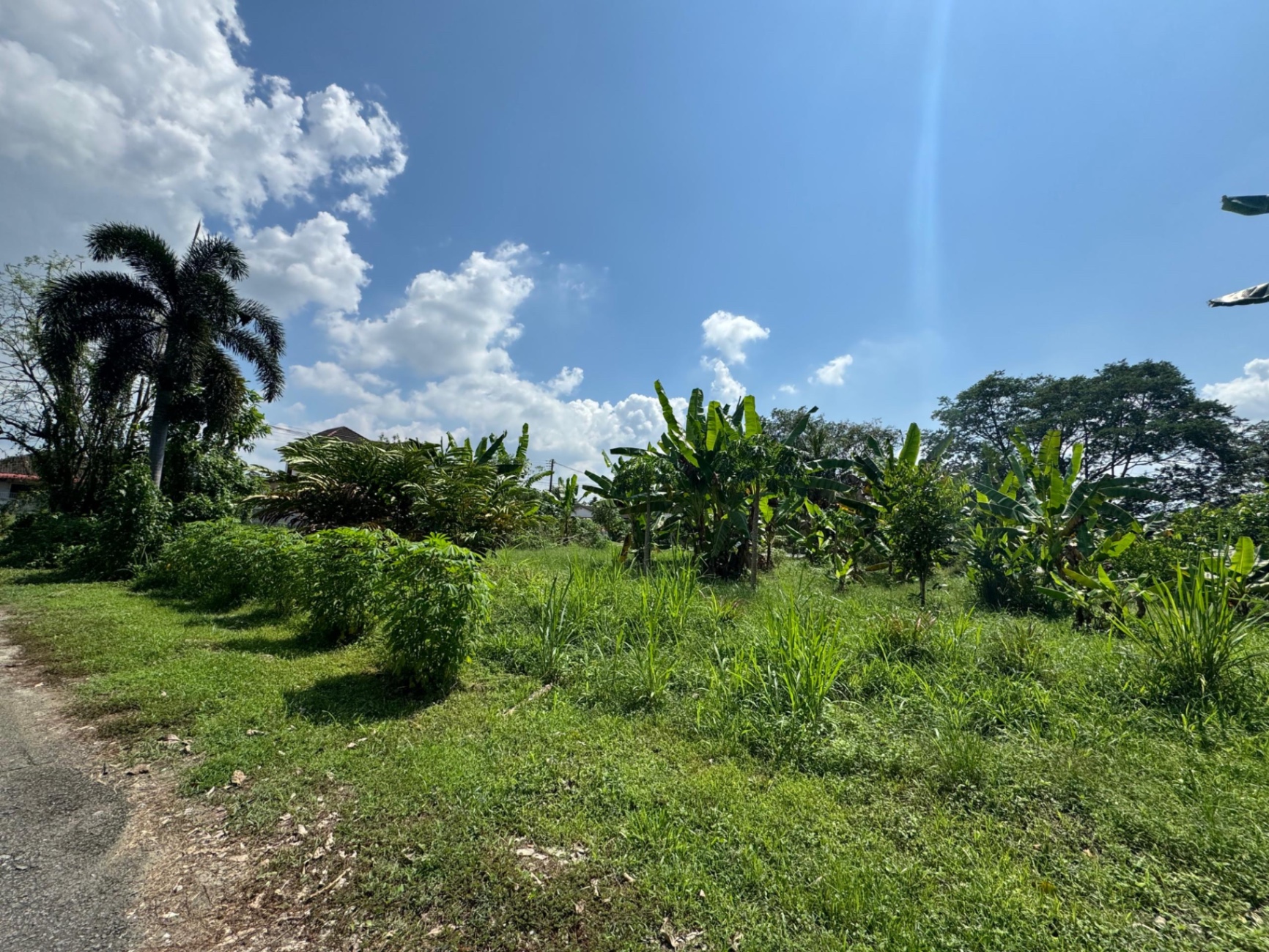 land in Kamunting, Perak — photo 3