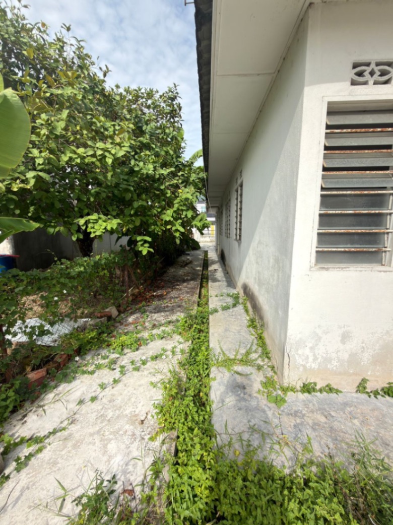 house in Sungai Ara, Penang — photo 2
