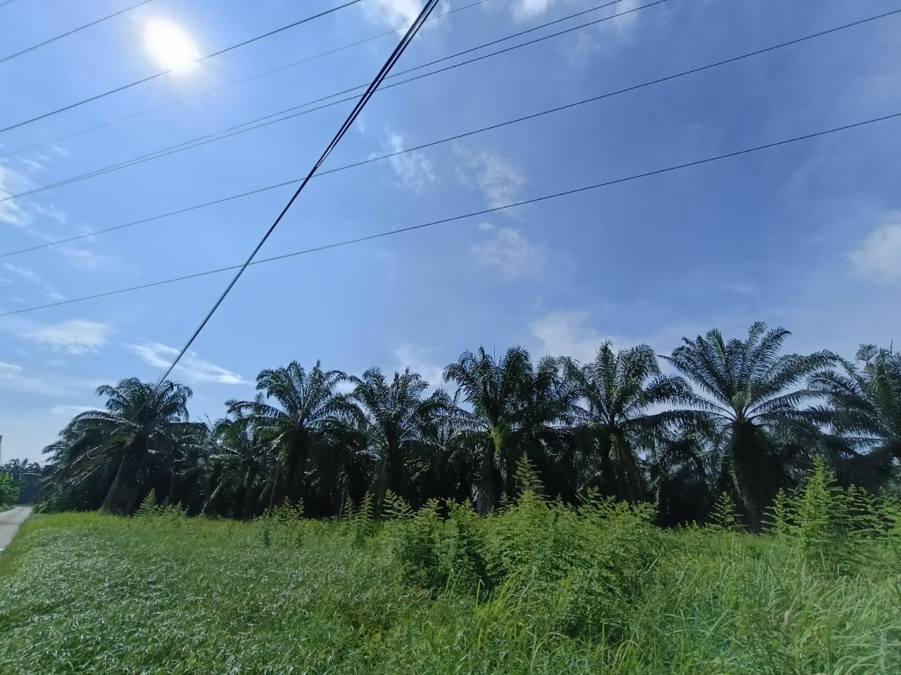 land in Valdor, Penang — photo 4