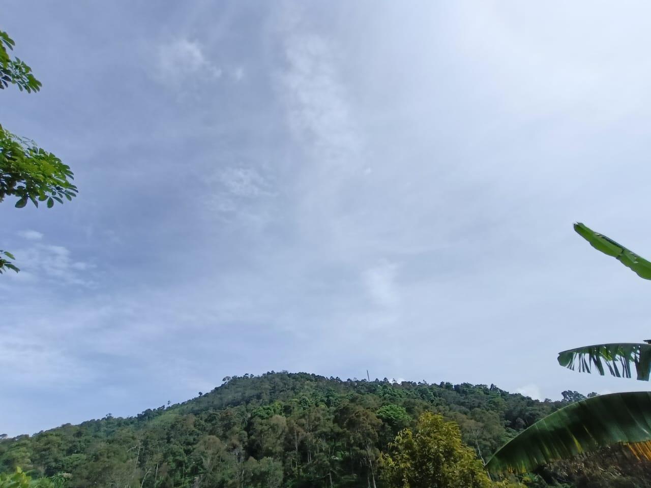 land in Sungai Ara, Penang — photo 5