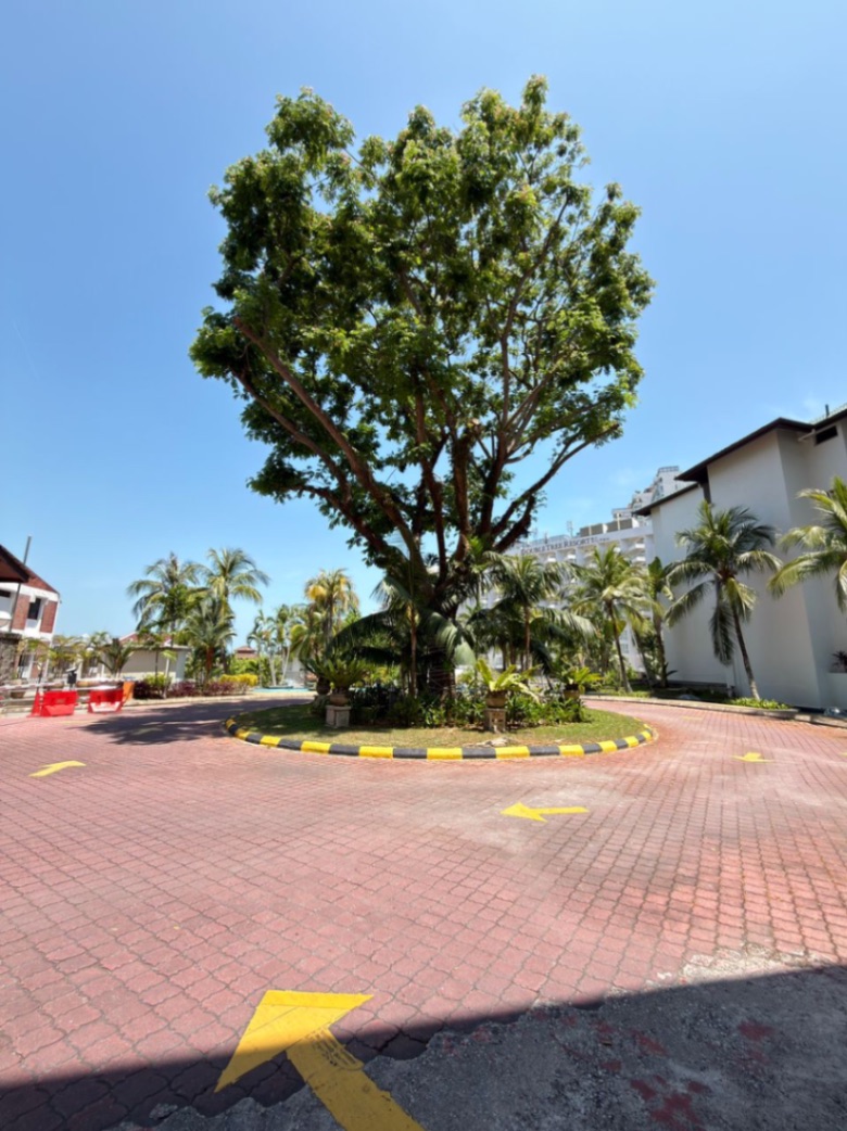 condo in Batu Ferringhi, Penang — photo 2