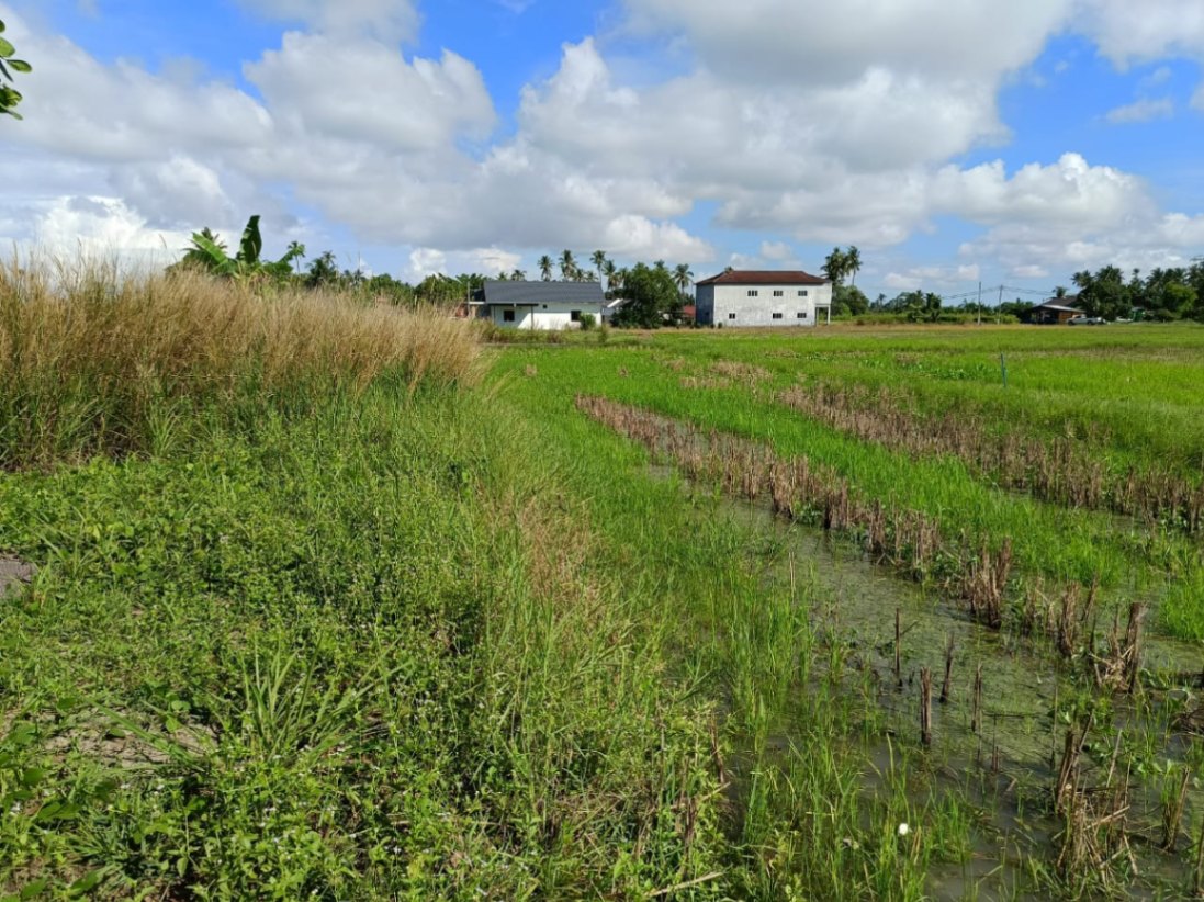land in PENAGA, Penang — photo 6
