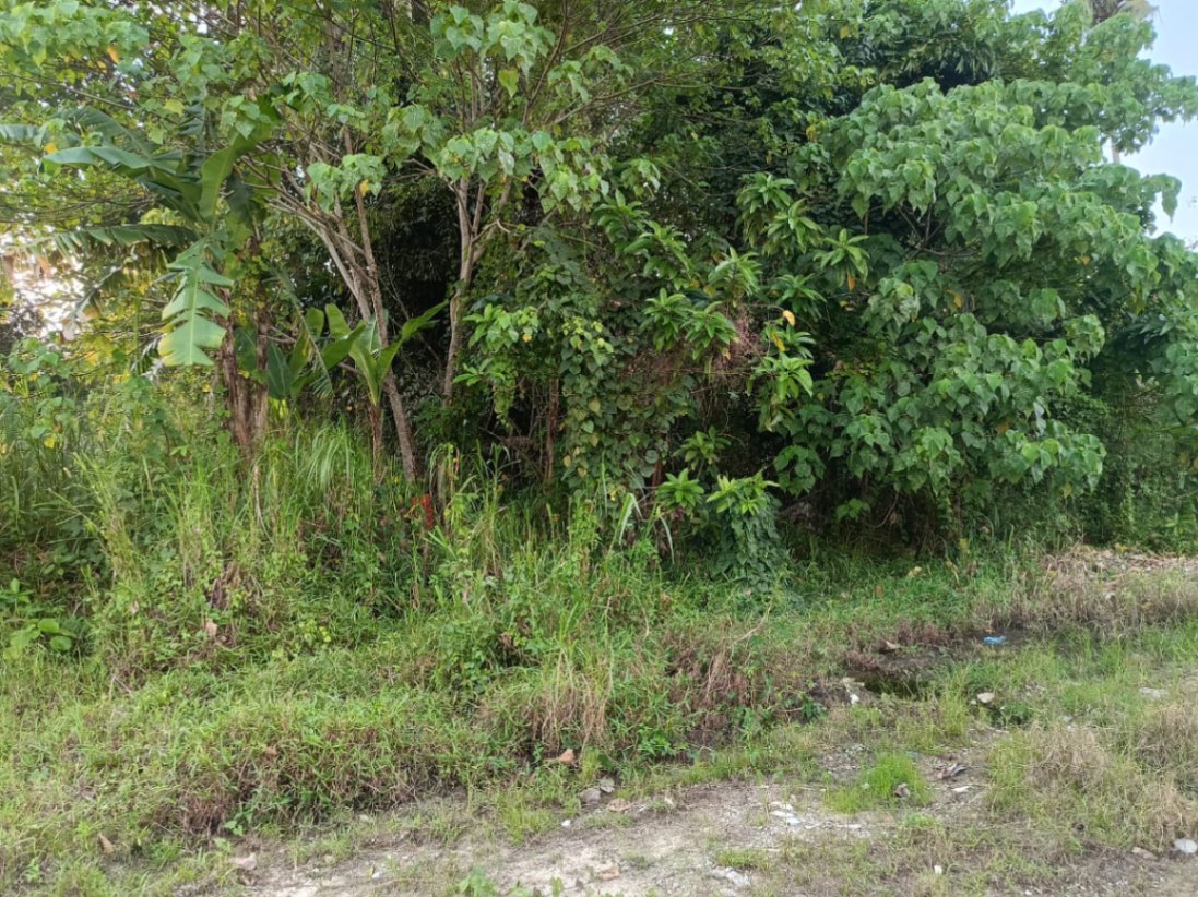 land in Balik Pulau, Penang — photo 3