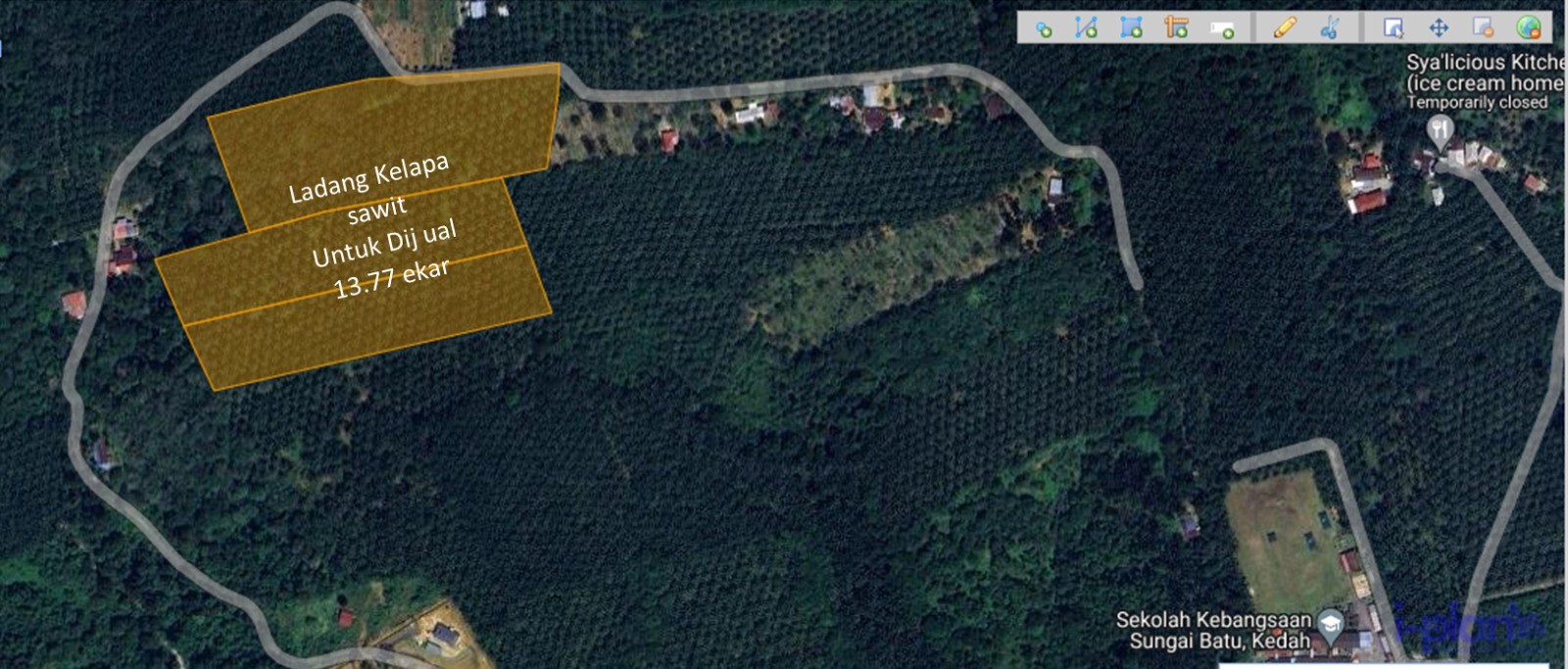 land in Bandar Baharu, Kedah for sale — Ladang Kelapa Sawit 13.77 Ekar di Bandar Baharu Untuk Dijual