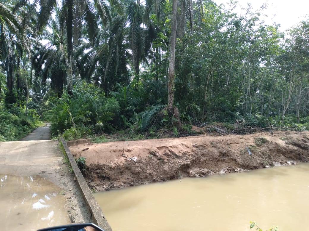 land in Bandar Baharu, Kedah — photo 5