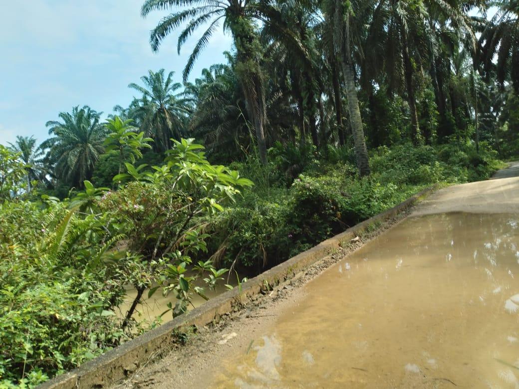 land in Bandar Baharu, Kedah — photo 6