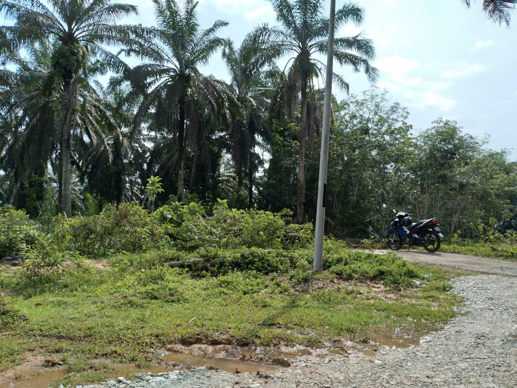 land in Bandar Baharu, Kedah — photo 7