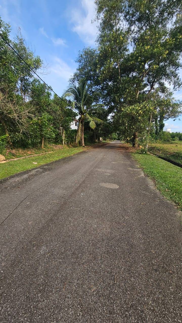 land in Bedong, Kedah — photo 3