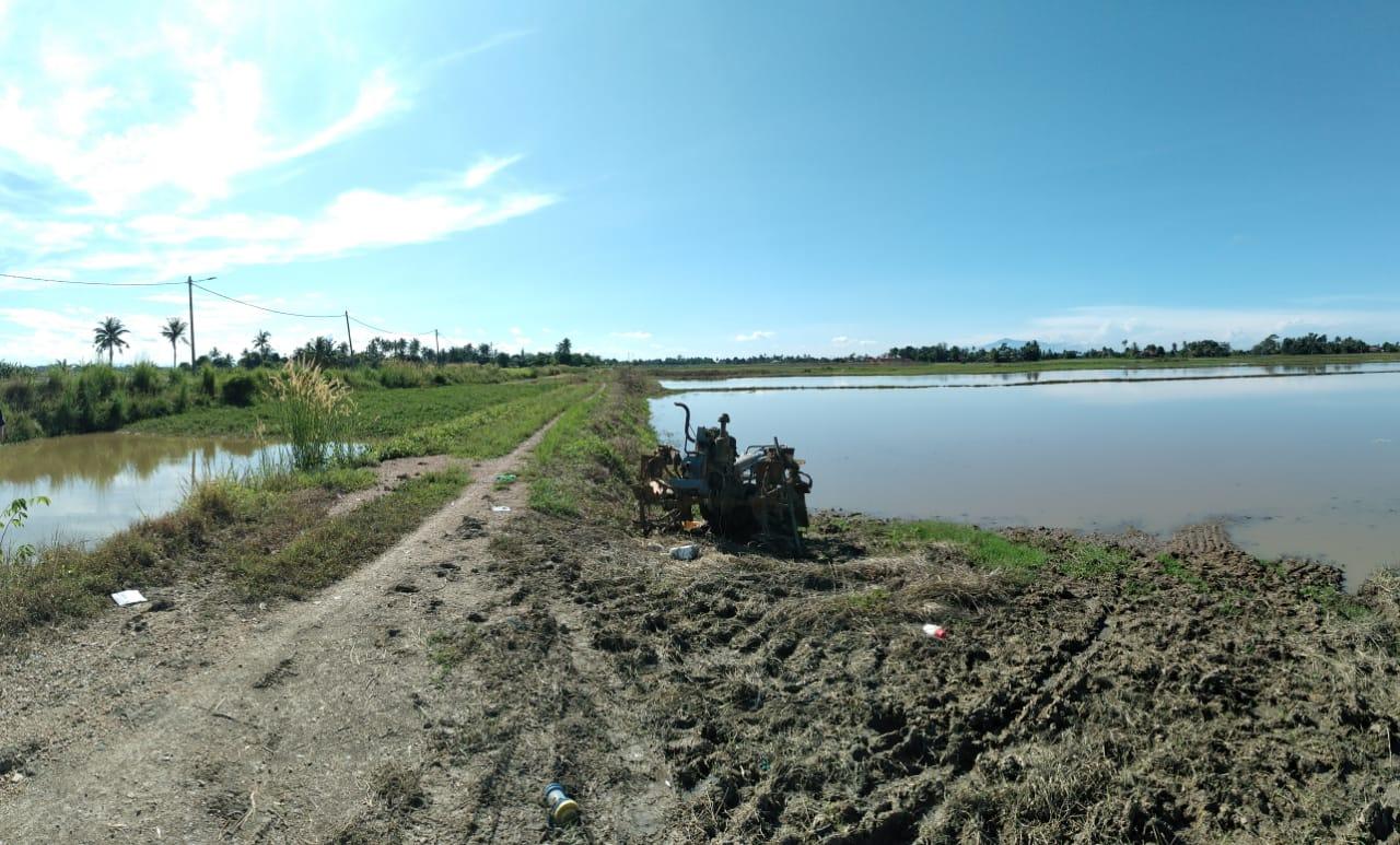 land in Langgar, Kedah — photo 3