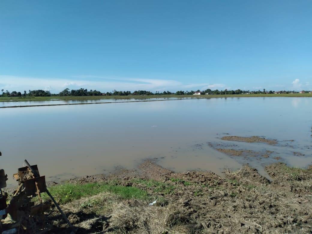 land in Langgar, Kedah — photo 4