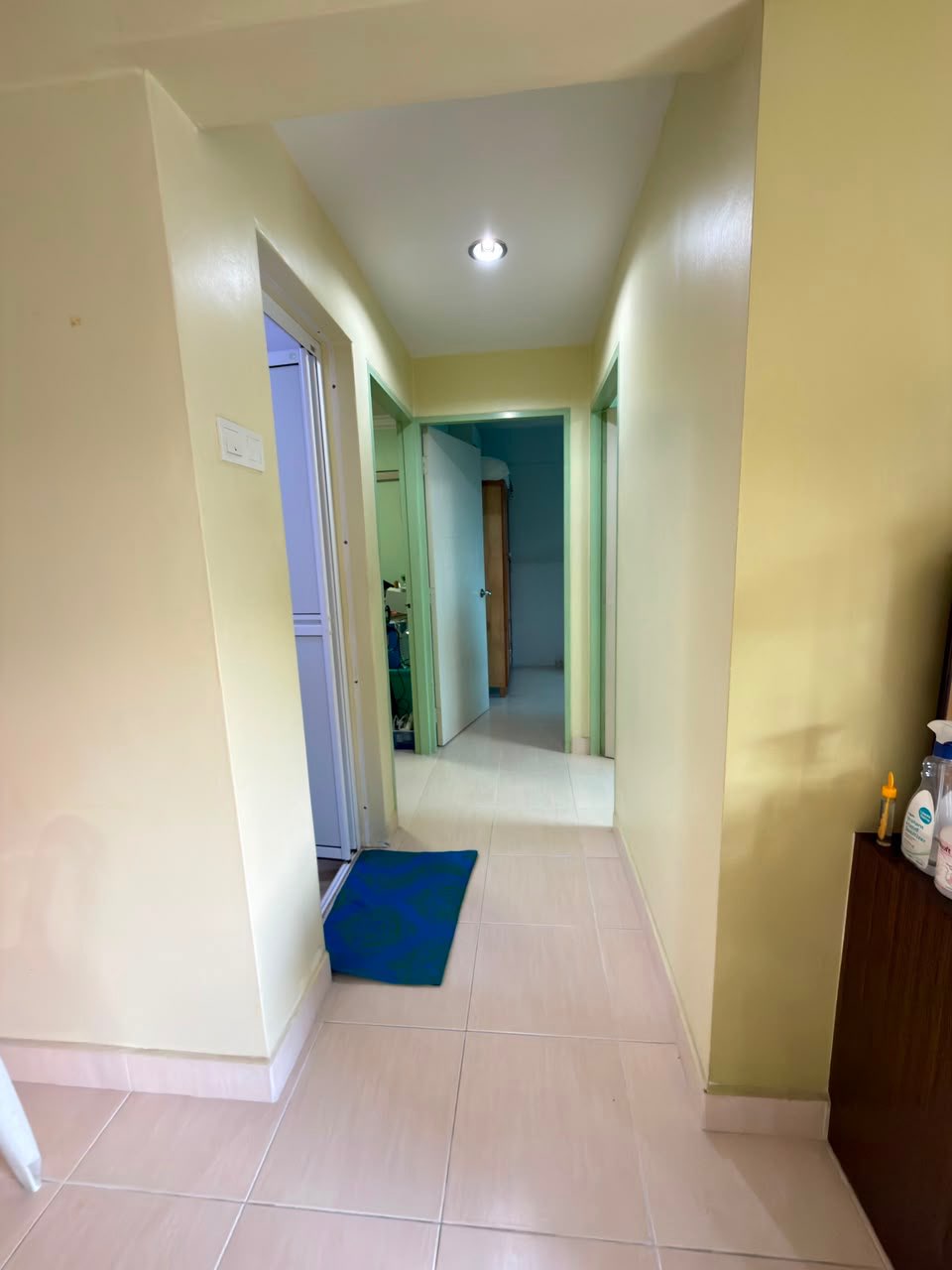 condo in Air Itam, Penang — photo 5