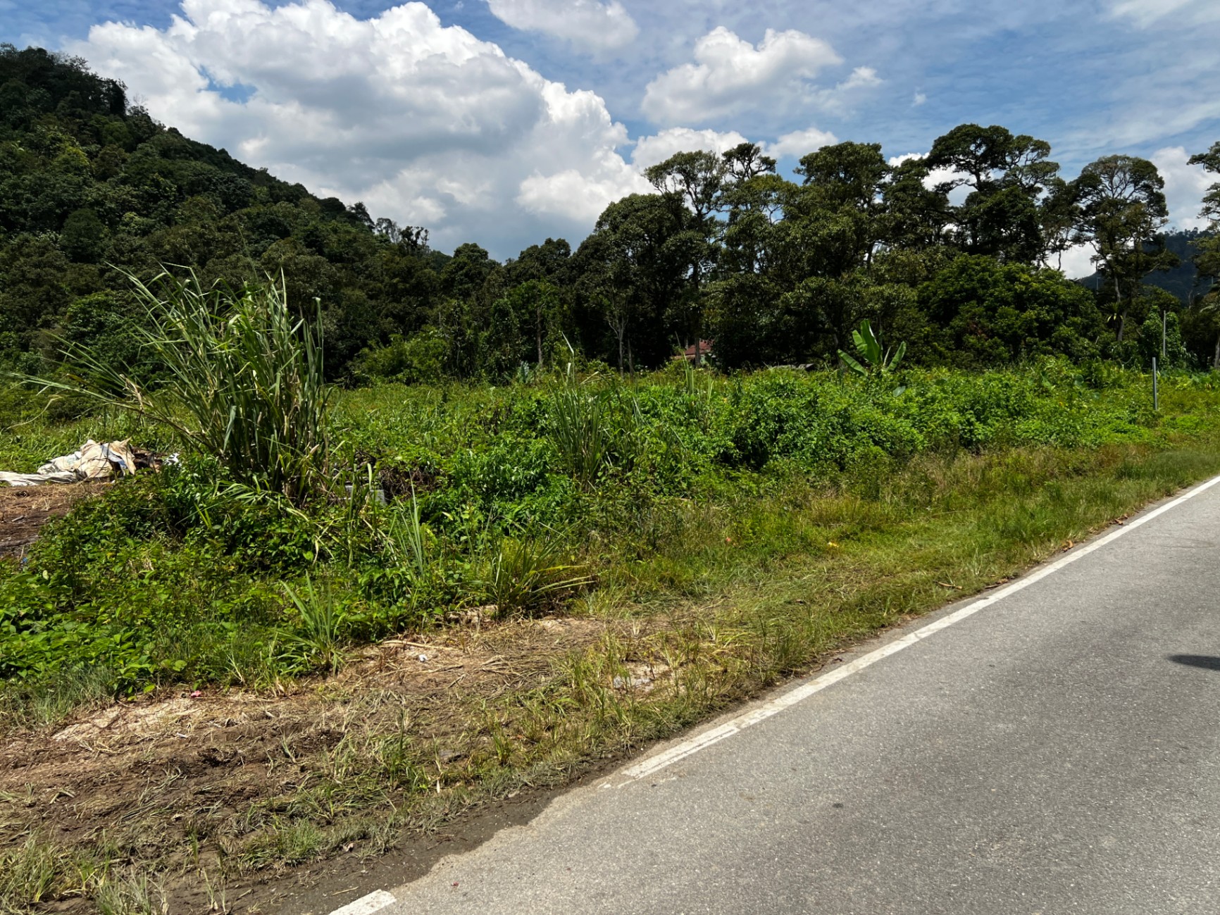 land in Hulu Langat, Selangor — photo 7