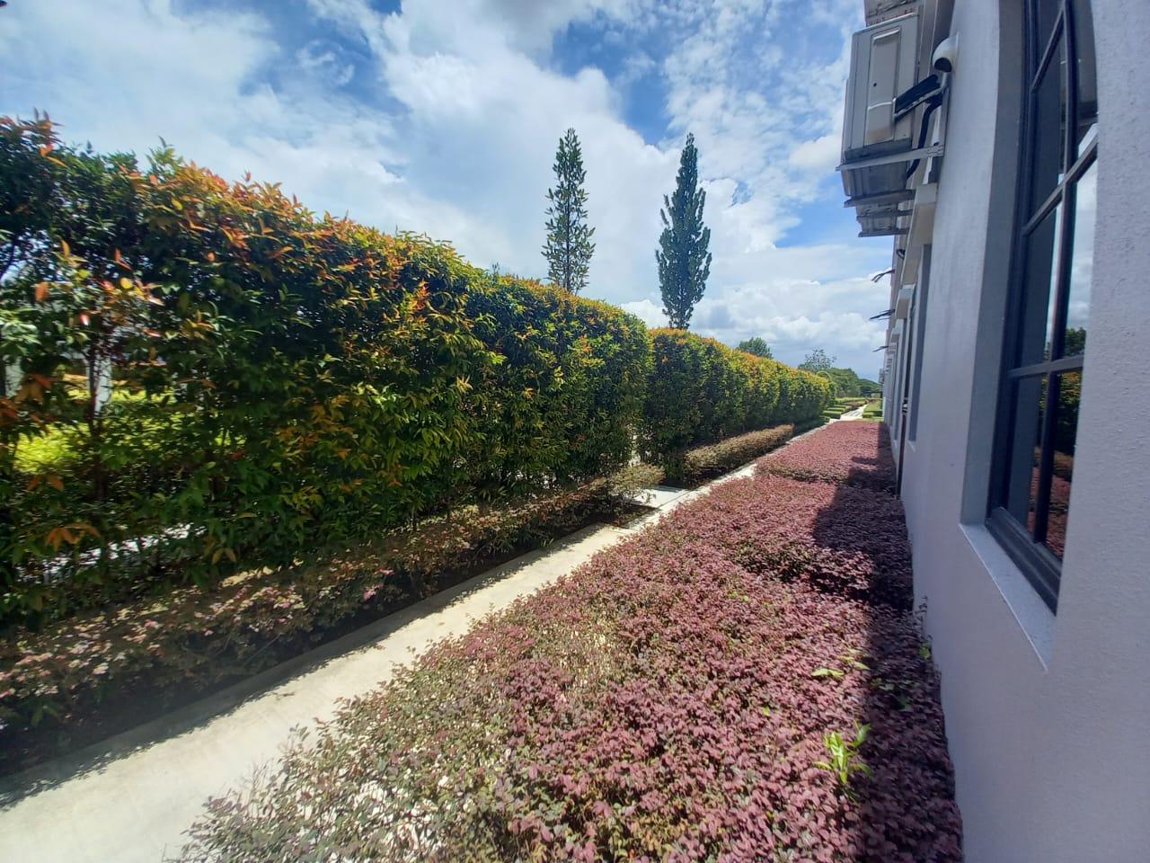 house in Simpang Ampat, Penang — photo 5