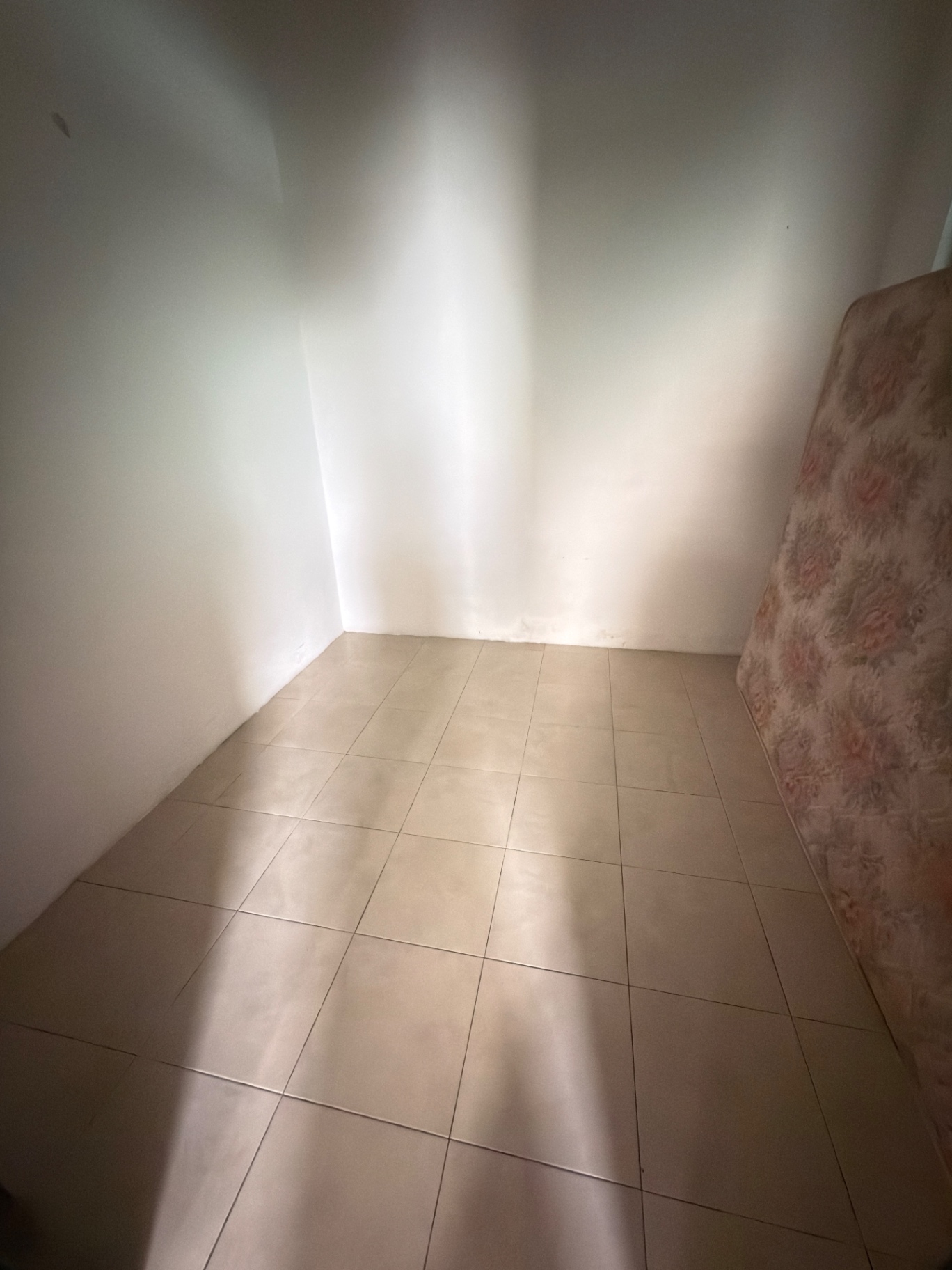 house in Jelutong, Penang — photo 4