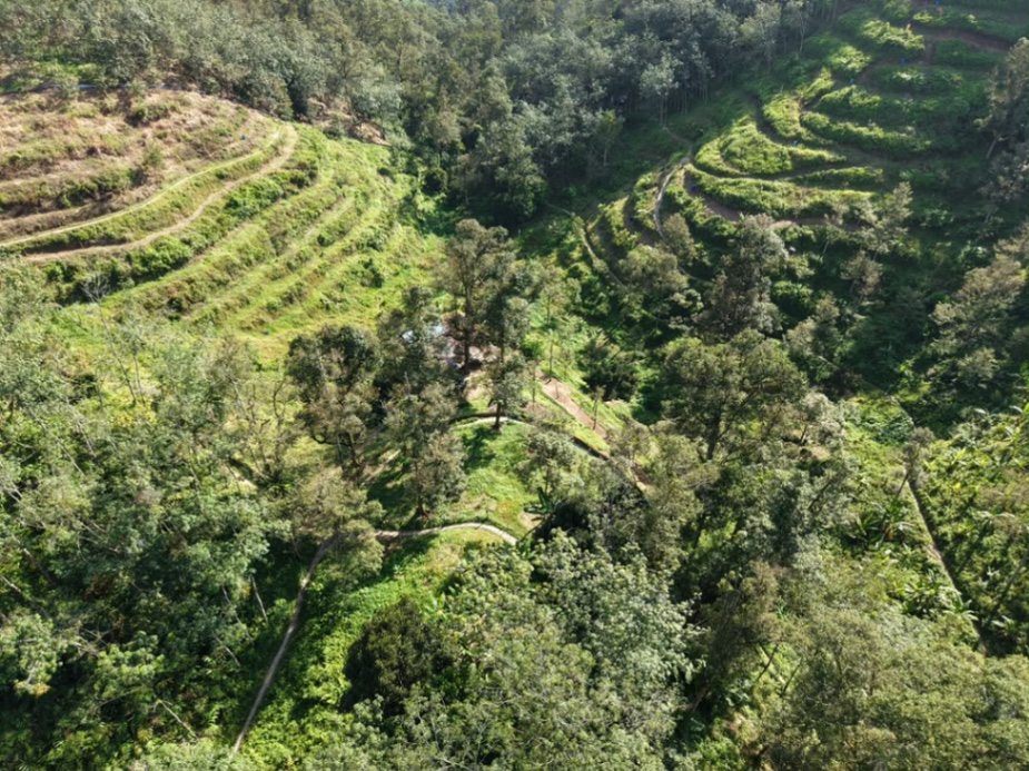 Durian Farm Ayer Putih Kulim 6.1 Acres 265716sqft