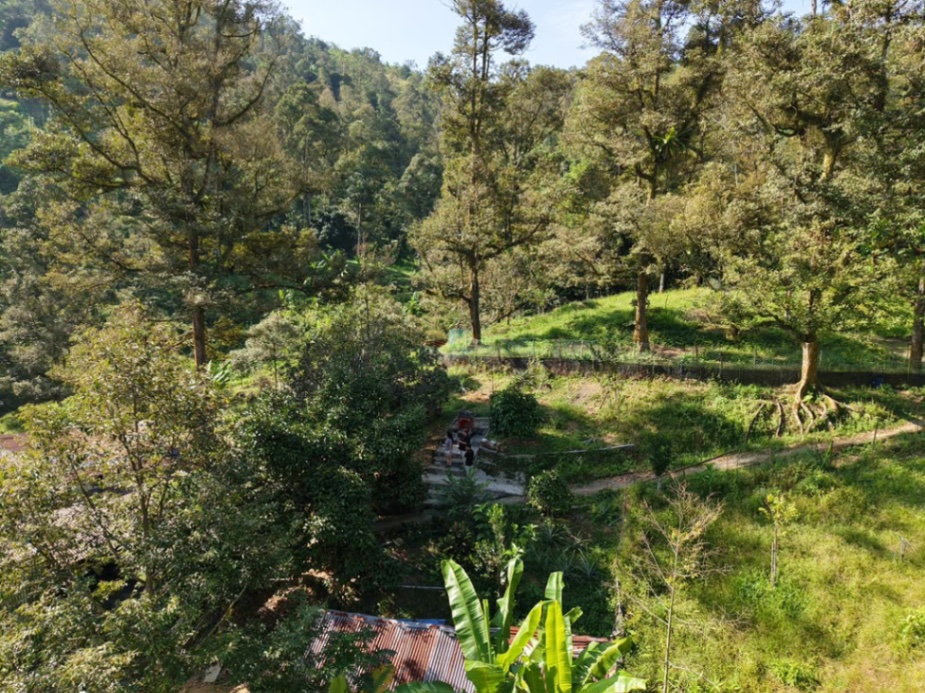 land in kulim, Kedah — photo 5