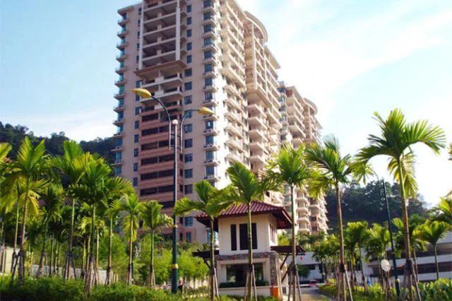 Alila Horizon cover photo