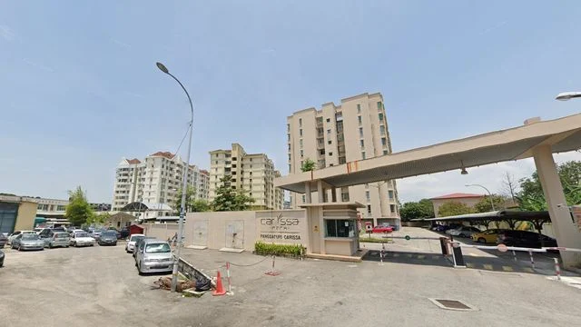 Carissa Park Condominium cover photo