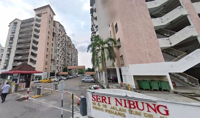 Seri Nibung cover photo