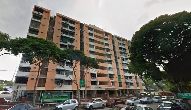 Taman Boundary cover photo