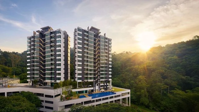 Trehaus cover photo