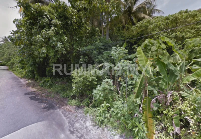 land in Balik Pulau, Penang — photo 2