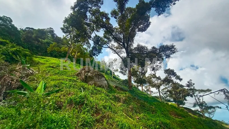 land in Balik Pulau, Penang — photo 2