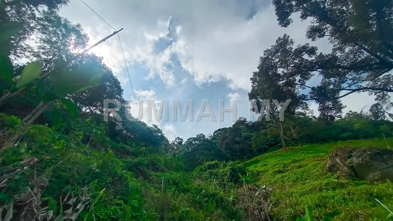 land in Balik Pulau, Penang — photo 3
