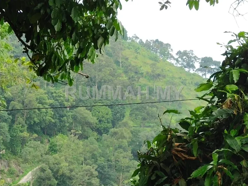 land in Balik Pulau, Penang — photo 2