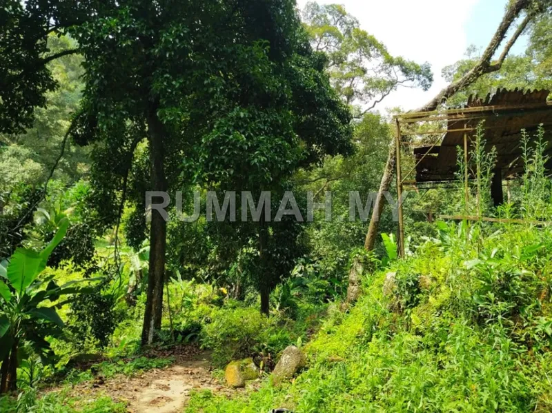 land in Balik Pulau, Penang — photo 3
