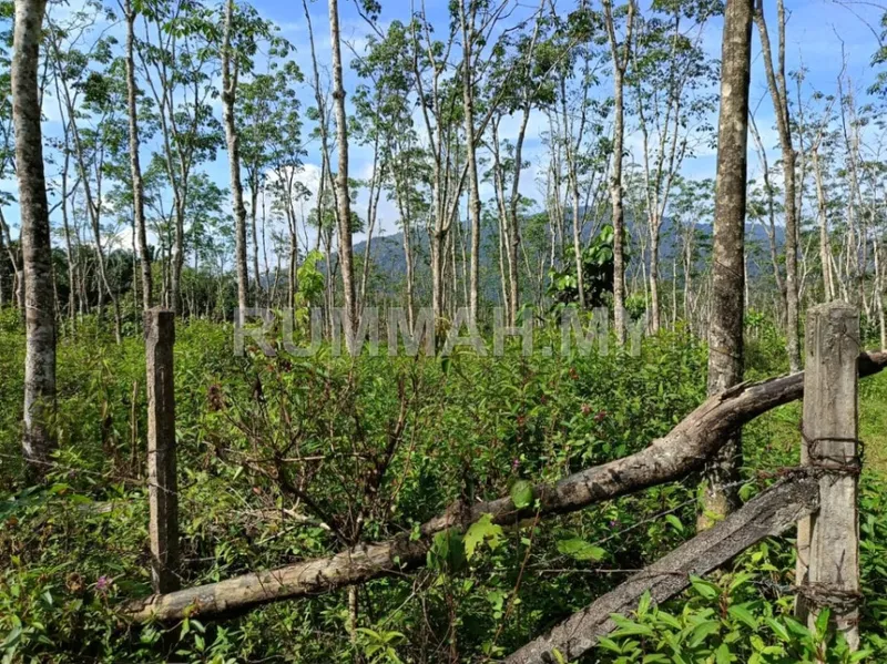 land in Bandar Baharu, Kedah — photo 2