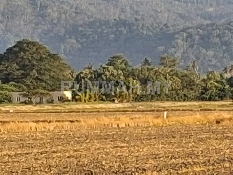 land in Sungai Burong, Penang — photo 3