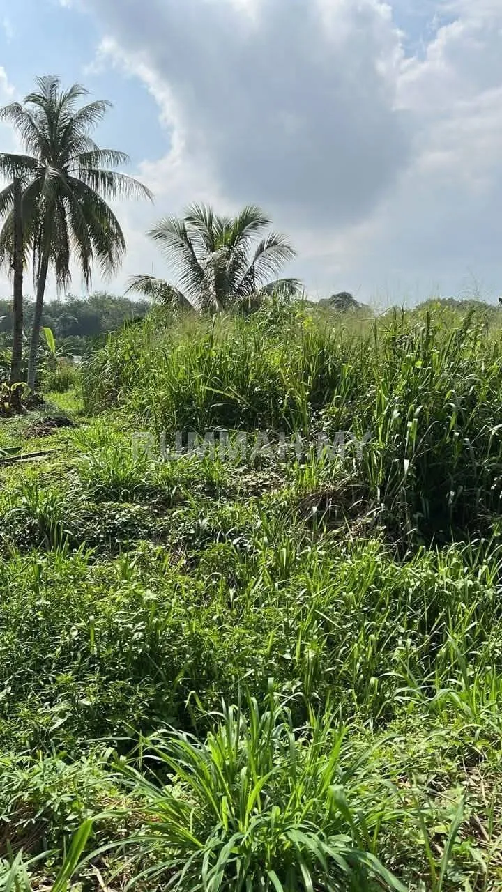 land in Sepang, Selangor — photo 3