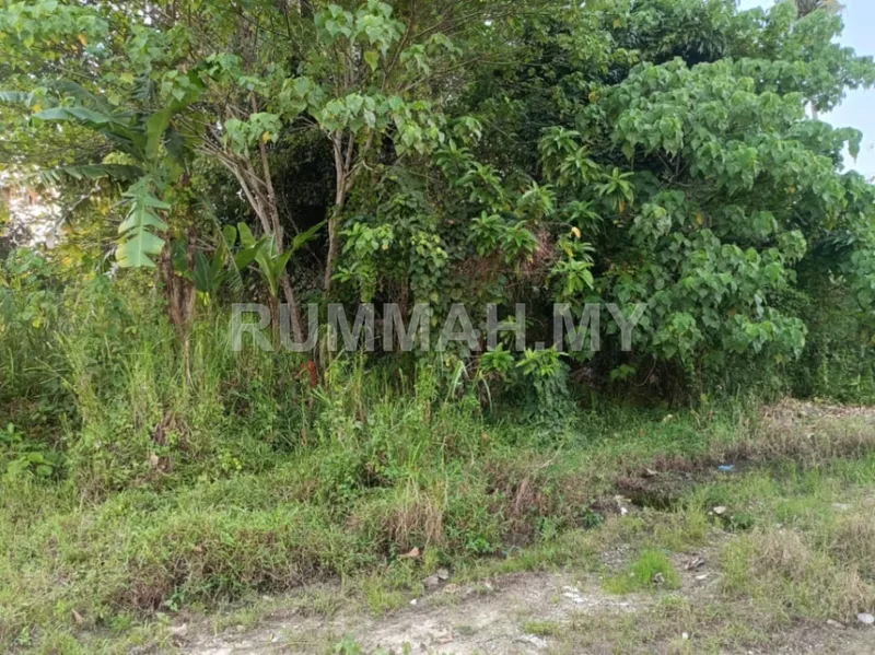 land in Balik Pulau, Penang — photo 3