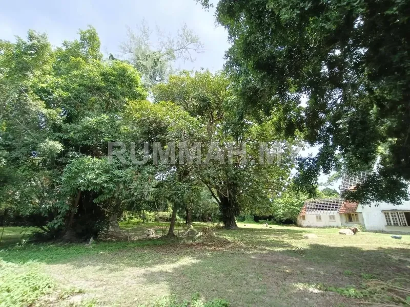 house in Pulau Tikus, Penang — photo 3