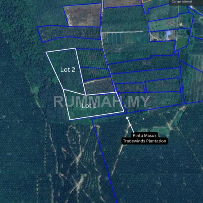 land in Padang Terap, Kedah — photo 2