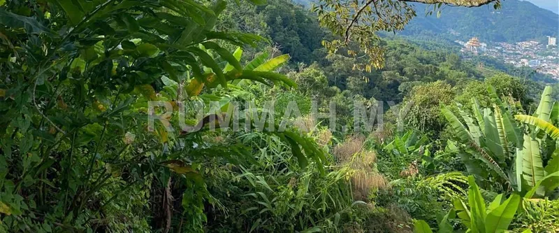 land in Penang Hill, Penang — photo 3