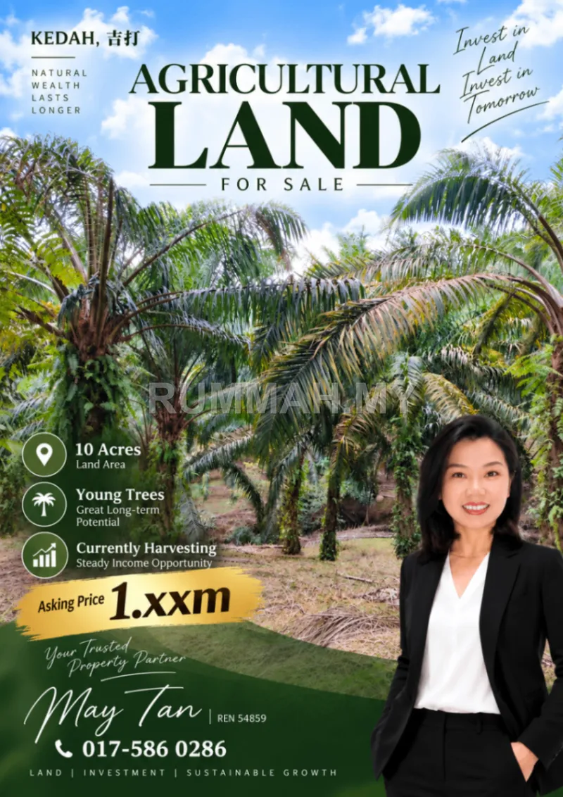Agricultural for Sale @ Kedah, Kedah | Freehold