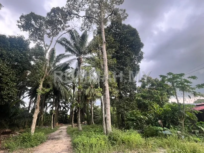 Tanah Zon Kampung, Kampung Air Melintas Besar, Tasek Gelugor