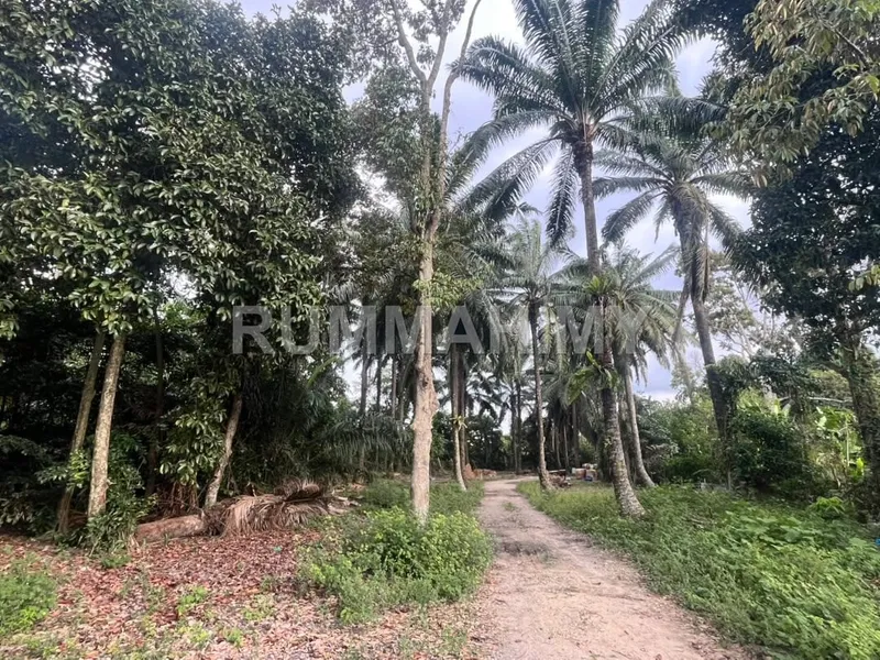 land in Tasek Gelugor, Penang — photo 2
