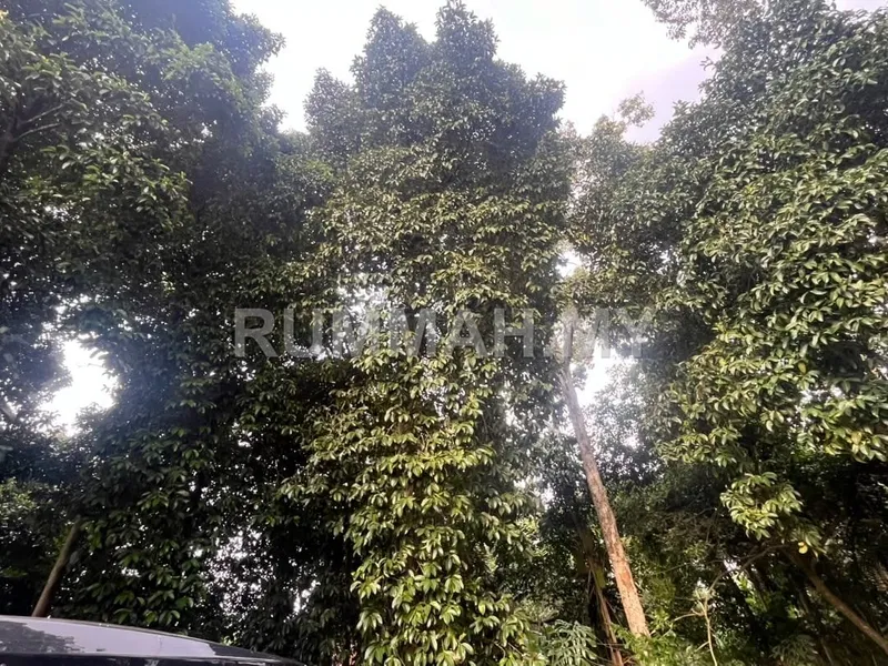 land in Tasek Gelugor, Penang — photo 3